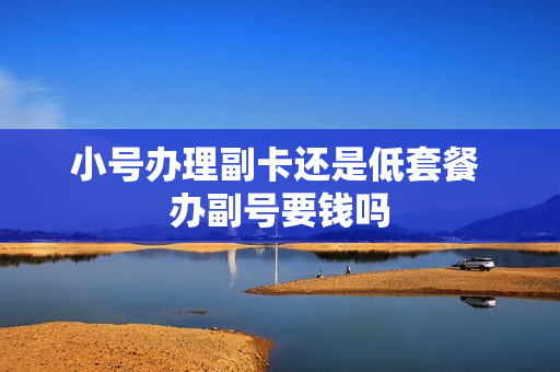 小号办理副卡还是低套餐 办副号要钱吗