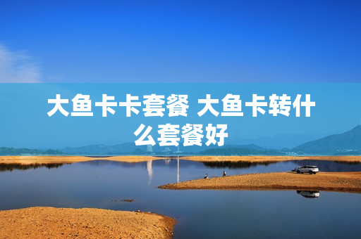 大鱼卡卡套餐 大鱼卡转什么套餐好