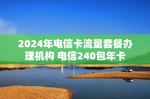 2024年电信卡流量套餐办理机构 电信240包年卡