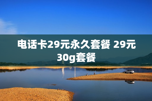 电话卡29元永久套餐 29元30g套餐