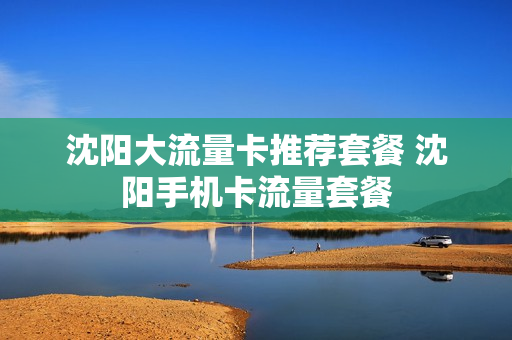 沈阳大流量卡推荐套餐 沈阳手机卡流量套餐