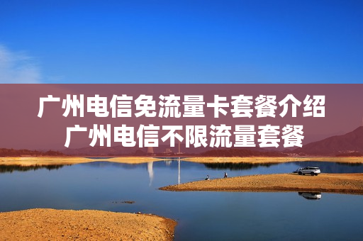 广州电信免流量卡套餐介绍 广州电信不限流量套餐