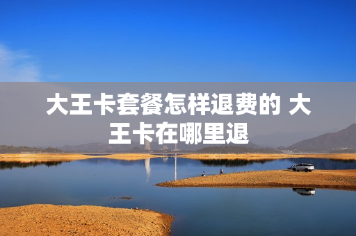 大王卡套餐怎样退费的 大王卡在哪里退
