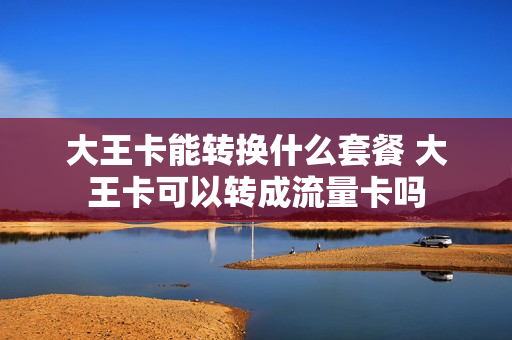 大王卡能转换什么套餐 大王卡可以转成流量卡吗