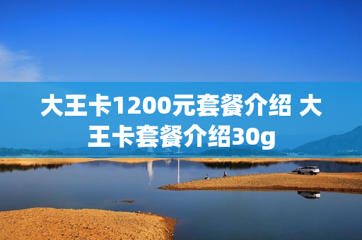 大王卡1200元套餐介绍 大王卡套餐介绍30g