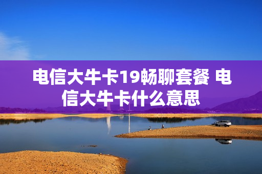电信大牛卡19畅聊套餐 电信大牛卡什么意思