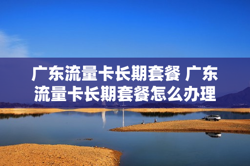 广东流量卡长期套餐 广东流量卡长期套餐怎么办理