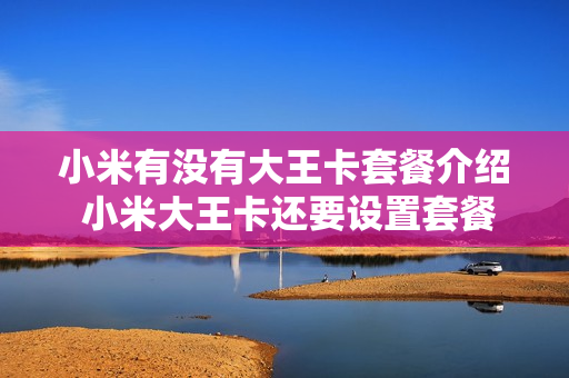 小米有没有大王卡套餐介绍 小米大王卡还要设置套餐吗