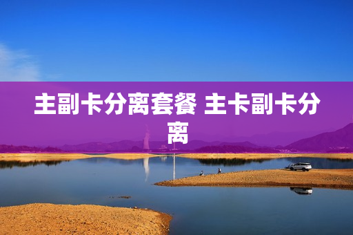 主副卡分离套餐 主卡副卡分离