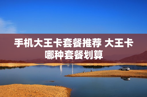 手机大王卡套餐推荐 大王卡哪种套餐划算