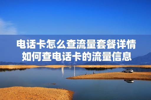 电话卡怎么查流量套餐详情 如何查电话卡的流量信息