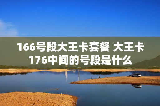 166号段大王卡套餐 大王卡176中间的号段是什么