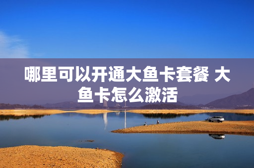 哪里可以开通大鱼卡套餐 大鱼卡怎么激活