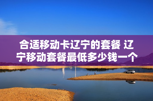 合适移动卡辽宁的套餐 辽宁移动套餐最低多少钱一个月