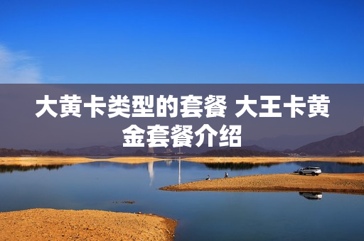 大黄卡类型的套餐 大王卡黄金套餐介绍