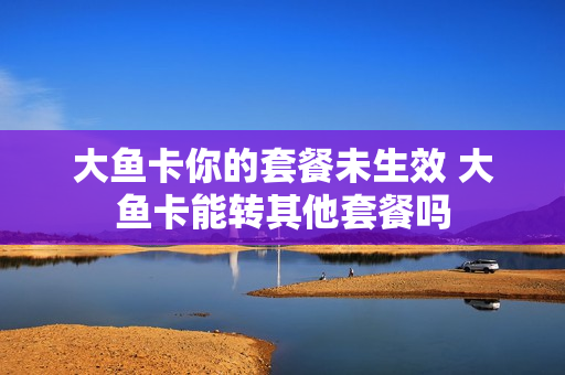 大鱼卡你的套餐未生效 大鱼卡能转其他套餐吗