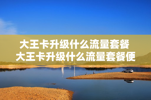 大王卡升级什么流量套餐 大王卡升级什么流量套餐便宜