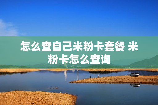 怎么查自己米粉卡套餐 米粉卡怎么查询