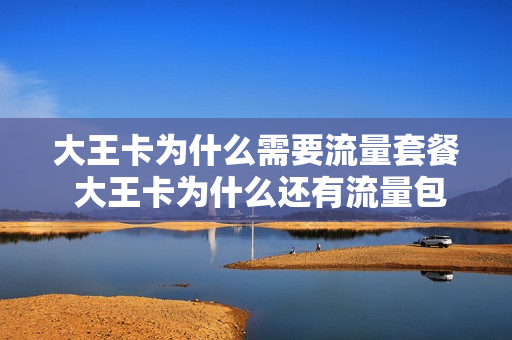 大王卡为什么需要流量套餐 大王卡为什么还有流量包月租费