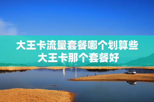 大王卡流量套餐哪个划算些 大王卡那个套餐好