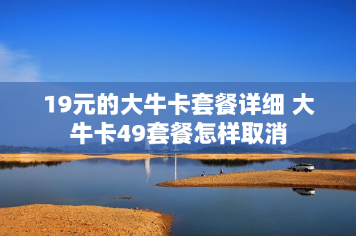 19元的大牛卡套餐详细 大牛卡49套餐怎样取消