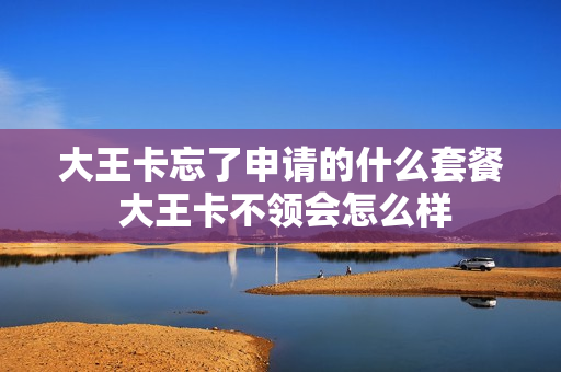 大王卡忘了申请的什么套餐 大王卡不领会怎么样