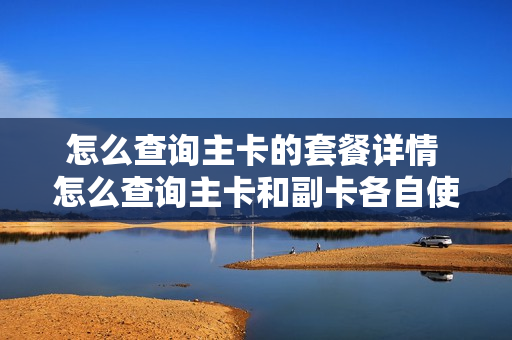 怎么查询主卡的套餐详情 怎么查询主卡和副卡各自使用情况