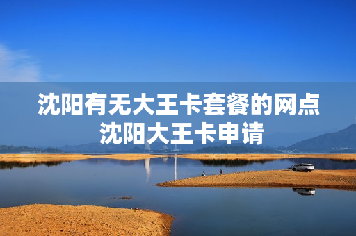 沈阳有无大王卡套餐的网点 沈阳大王卡申请