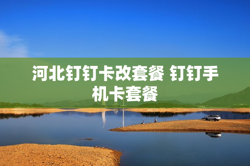 河北钉钉卡改套餐 钉钉手机卡套餐