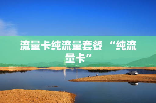 流量卡纯流量套餐 “纯流量卡”