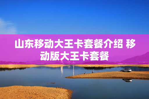 山东移动大王卡套餐介绍 移动版大王卡套餐