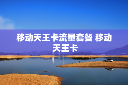 移动天王卡流量套餐 移动 天王卡