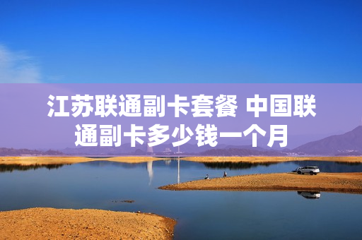 江苏联通副卡套餐 中国联通副卡多少钱一个月