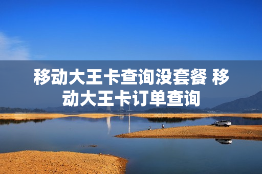 移动大王卡查询没套餐 移动大王卡订单查询
