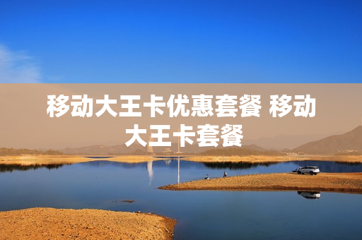 移动大王卡优惠套餐 移动 大王卡套餐