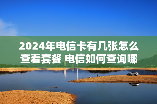 2024年电信卡有几张怎么查看套餐 电信如何查询哪一年办的