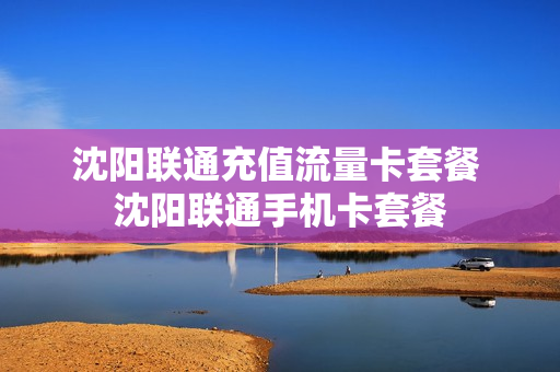 沈阳联通充值流量卡套餐 沈阳联通手机卡套餐