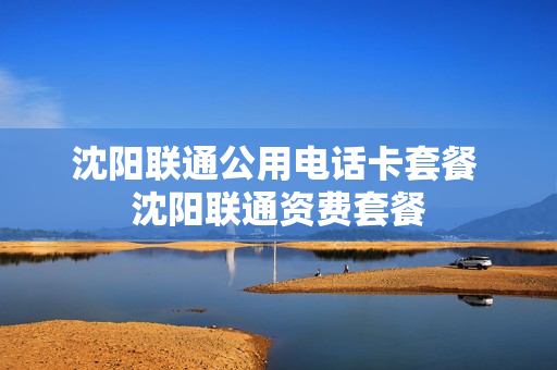 沈阳联通公用电话卡套餐 沈阳联通资费套餐