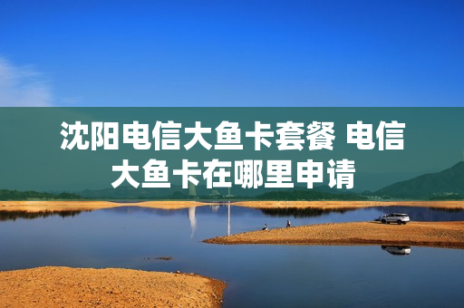 沈阳电信大鱼卡套餐 电信大鱼卡在哪里申请