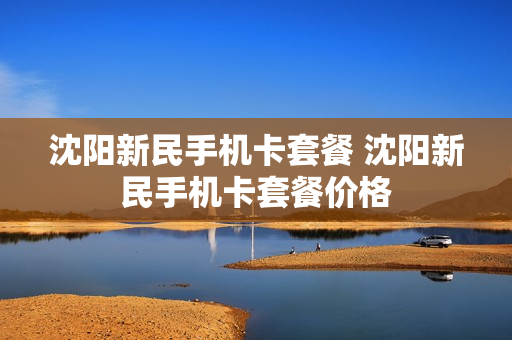 沈阳新民手机卡套餐 沈阳新民手机卡套餐价格