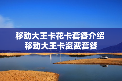 移动大王卡花卡套餐介绍 移动大王卡资费套餐