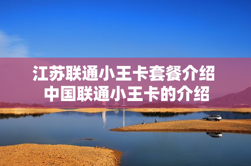 江苏联通小王卡套餐介绍 中国联通小王卡的介绍