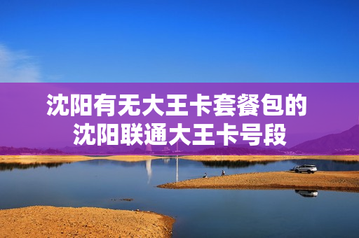 沈阳有无大王卡套餐包的 沈阳联通大王卡号段