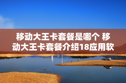 移动大王卡套餐是哪个 移动大王卡套餐介绍18应用软件