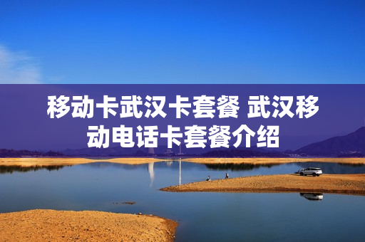移动卡武汉卡套餐 武汉移动电话卡套餐介绍