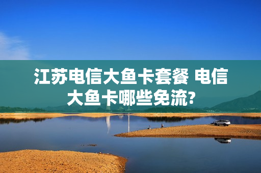 江苏电信大鱼卡套餐 电信大鱼卡哪些免流?