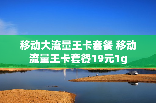 移动大流量王卡套餐 移动流量王卡套餐19元1g