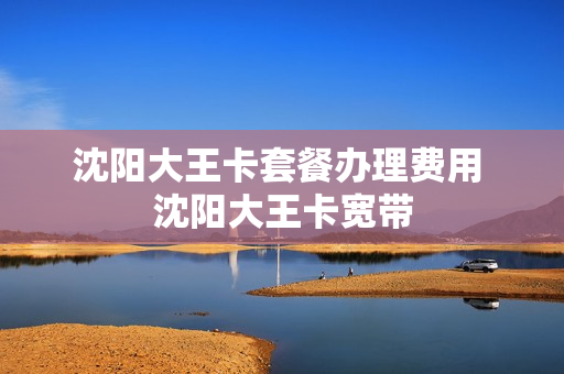 沈阳大王卡套餐办理费用 沈阳大王卡宽带