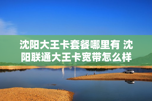 沈阳大王卡套餐哪里有 沈阳联通大王卡宽带怎么样