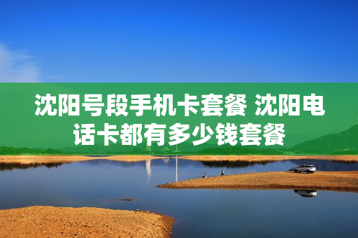 沈阳号段手机卡套餐 沈阳电话卡都有多少钱套餐